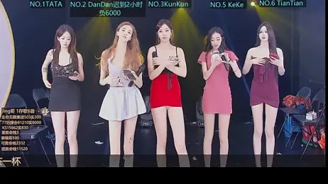 SK10010 webcam model stream image