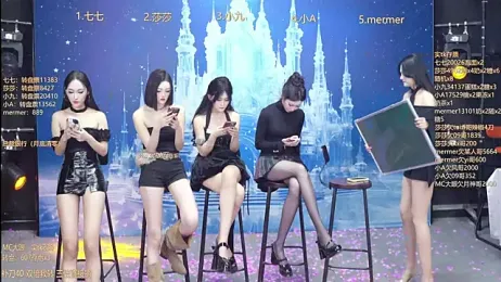 SK010 webcam model stream image