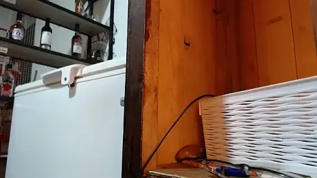 DAELAA webcam model stream image