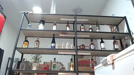 DAELAA webcam model stream image