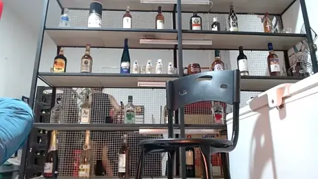 DAELAA webcam model stream image