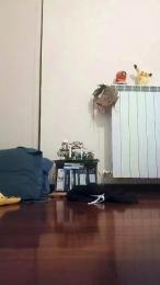 gabbus webcam cam4 model stream image