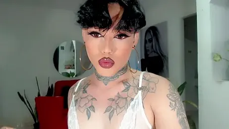 little_star_porn webcam model stream image