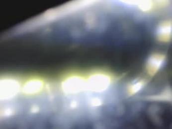 vegasmd webcam model stream image