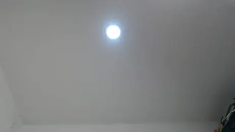 brown_halos webcam model stream image