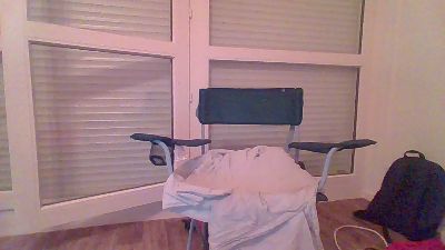 Cameleon webcam model stream image