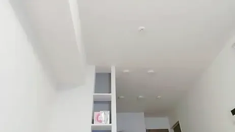 IORio2 webcam model stream image