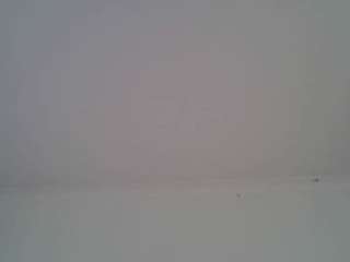 annalon webcam model stream image