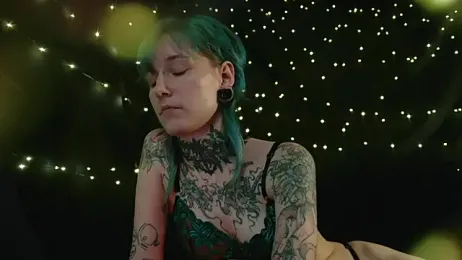 Littlespacemouse webcam model stream image