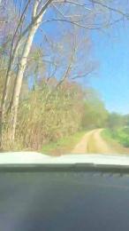 Gerontofilia webcam cam4 model stream image