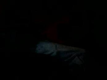 blackriches96 webcam chaturbate model stream image