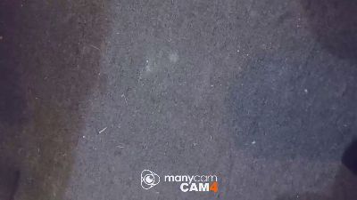 Punkie6669 webcam model stream image