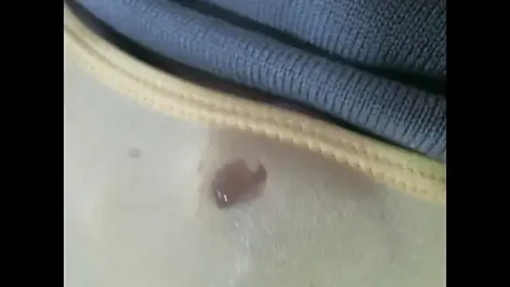 Xiaoye_x webcam model stream image