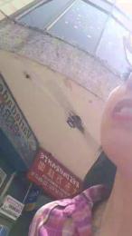 Isabel_DAmour webcam model stream image