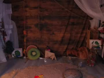 mollyflwers webcam model stream image