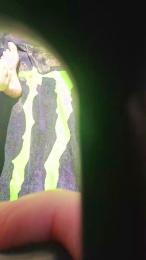 1naughtyboy webcam cam4 model stream image