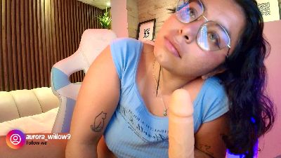 AuroraWillow webcam model stream image