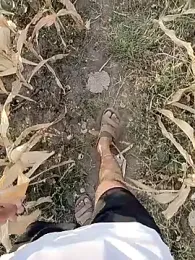 Forest_lover24 webcam model stream image