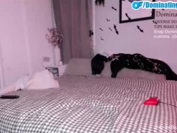 dominatingher69 webcam model stream image