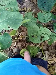 desi_alpha_boy webcam model stream image