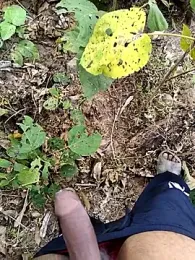 desi_alpha_boy webcam model stream image