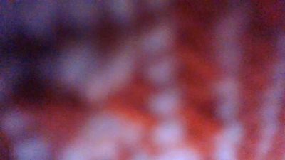 collina09 webcam cam4 model stream image