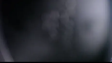 Stannlyy webcam model stream image