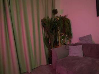 LiliaBellini webcam model stream image