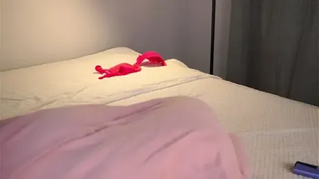 KateDolphin webcam model stream image