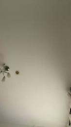 Bichito webcam cam4 model stream image
