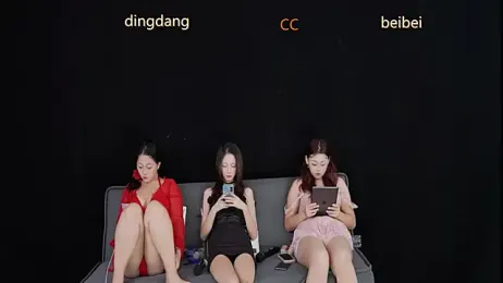 SR-101 webcam model stream image