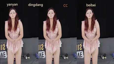 SR-101 webcam model stream image