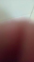 jpoliveira400 webcam model stream image