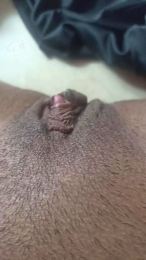 fflorecita webcam model stream image