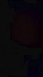 Giorgiarossihot webcam model stream image