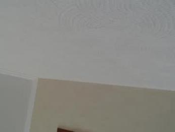 lusty__boys webcam model stream image