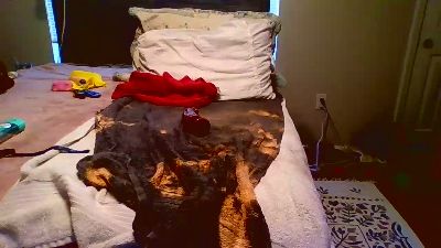 rtharp94903g webcam model stream image