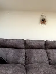 yuuki8910 webcam stripchat model stream image