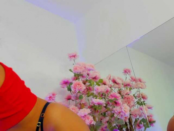 SugarMaple webcam model stream image