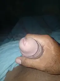 taylorWiiz webcam model stream image