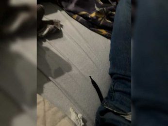 sinful1239 webcam model stream image