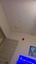 JilLUSTrius webcam model stream image