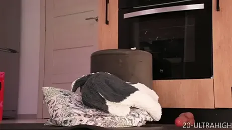 evaahothead webcam model stream image