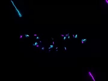 scarlettandtom webcam model stream image