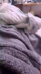 Epamela webcam model stream image