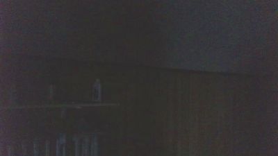 NODI78 webcam model stream image