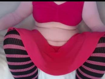 tiny_d webcam model stream image