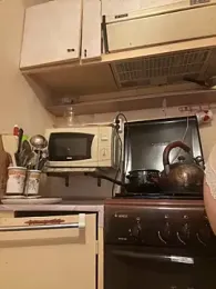 Romsticks webcam model stream image