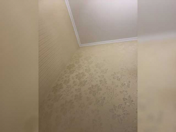 alizii webcam model stream image