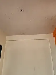 Shivani2002 webcam model stream image